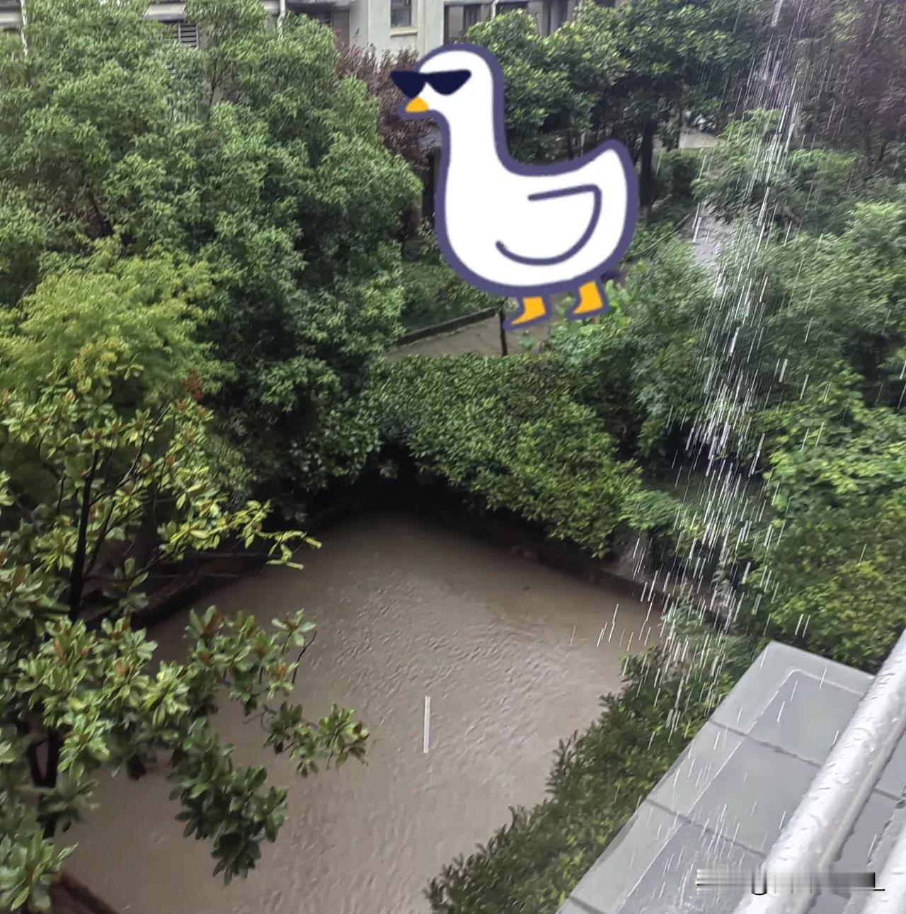 今天，昆山又下大雨了，地面上都是水，不能外出，只能在家陪孩子玩了。非必要不出门，