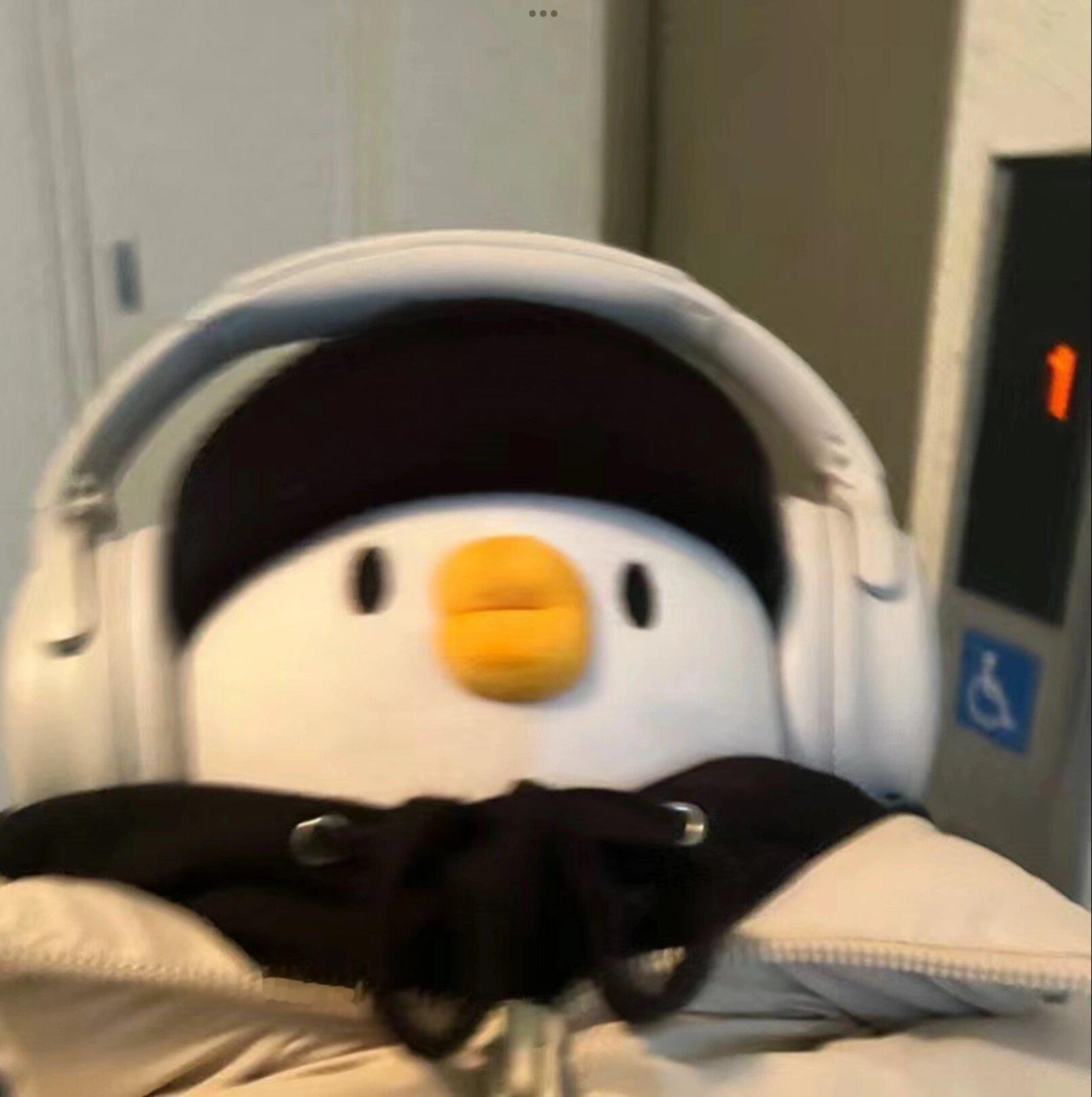 我也有好看头像～#头像洁癖# ​​​