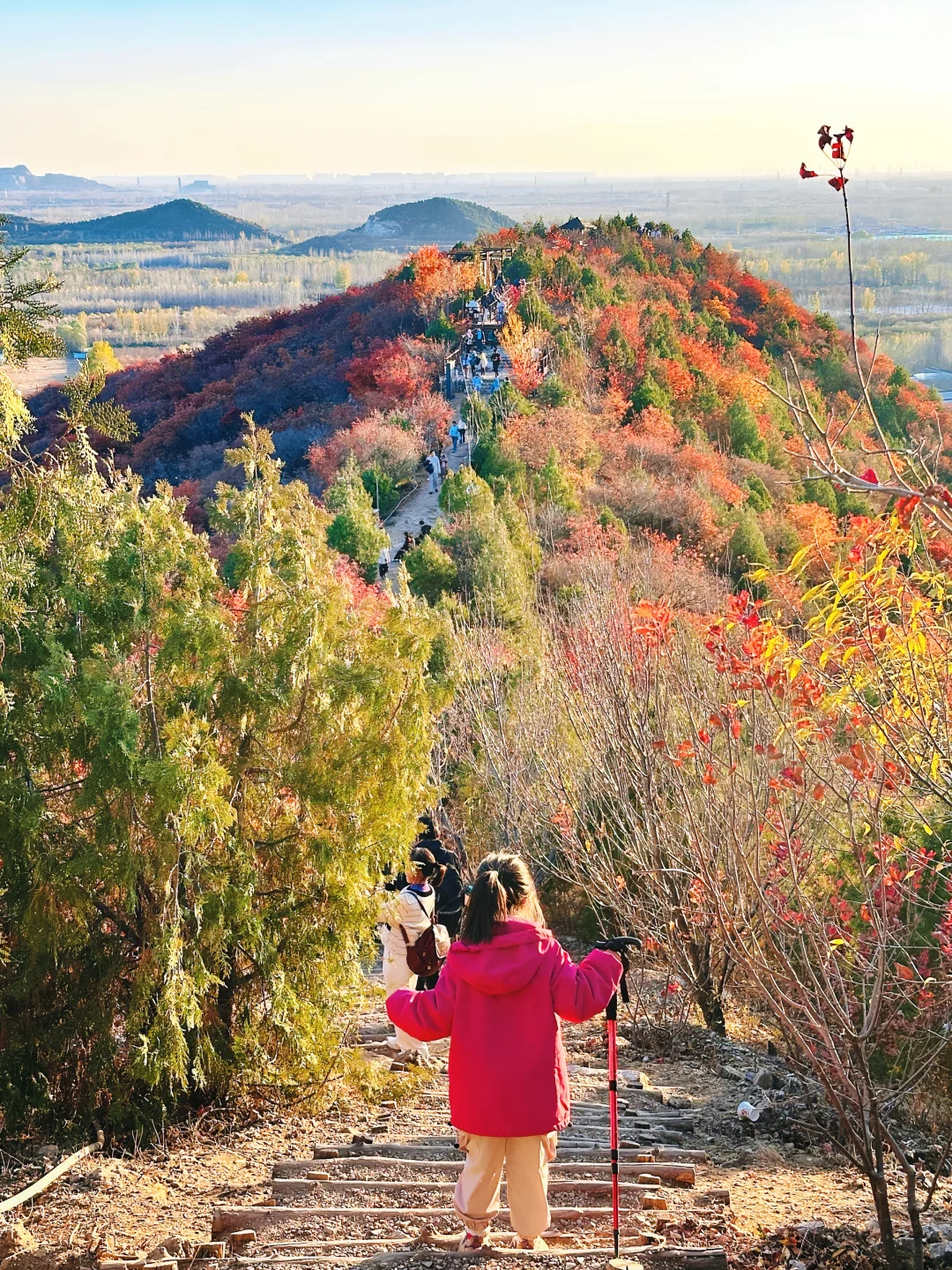 11.9实况🍁北京五色山已美成调色盘，快冲