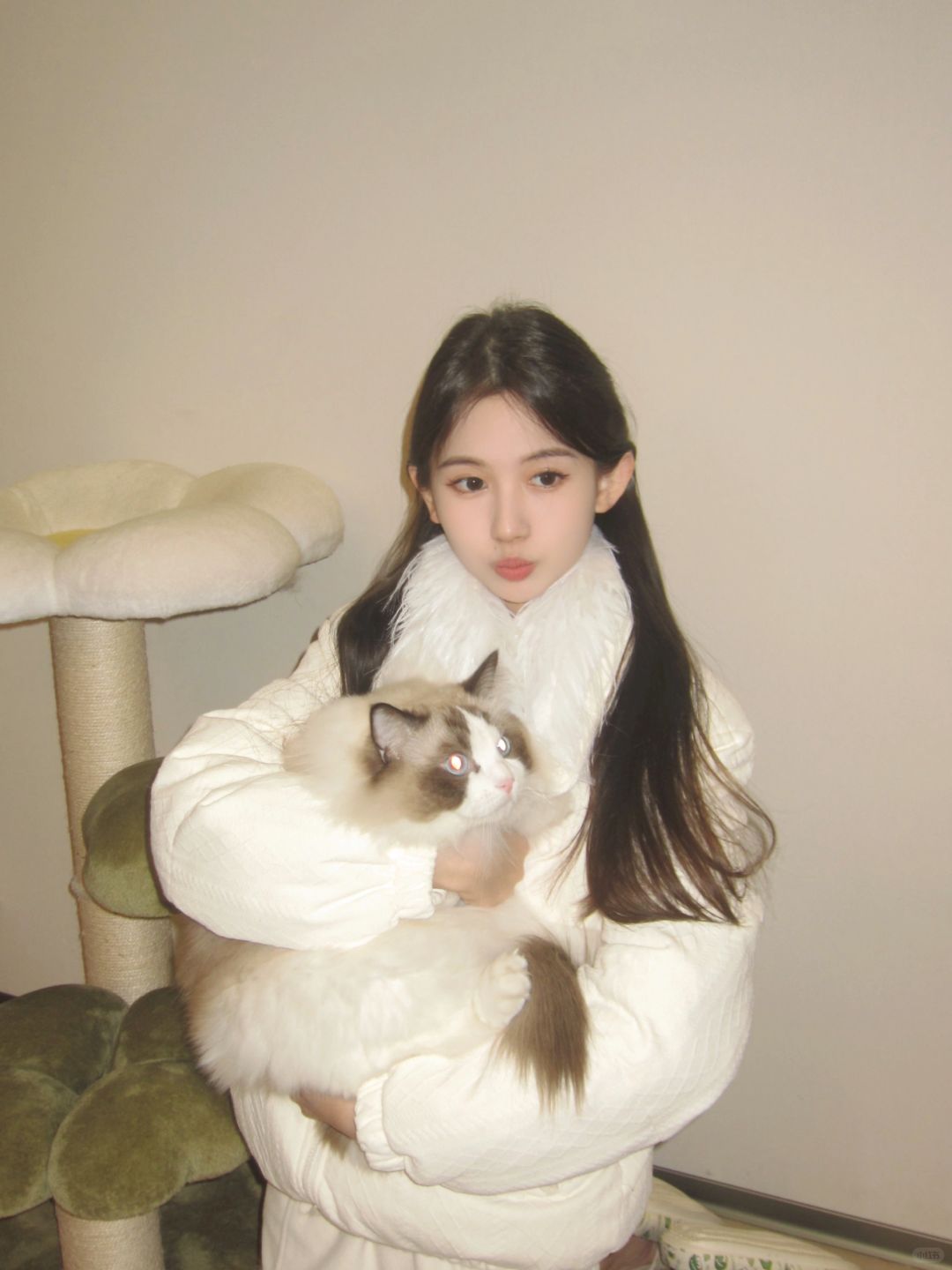 今天见了车银优🐈