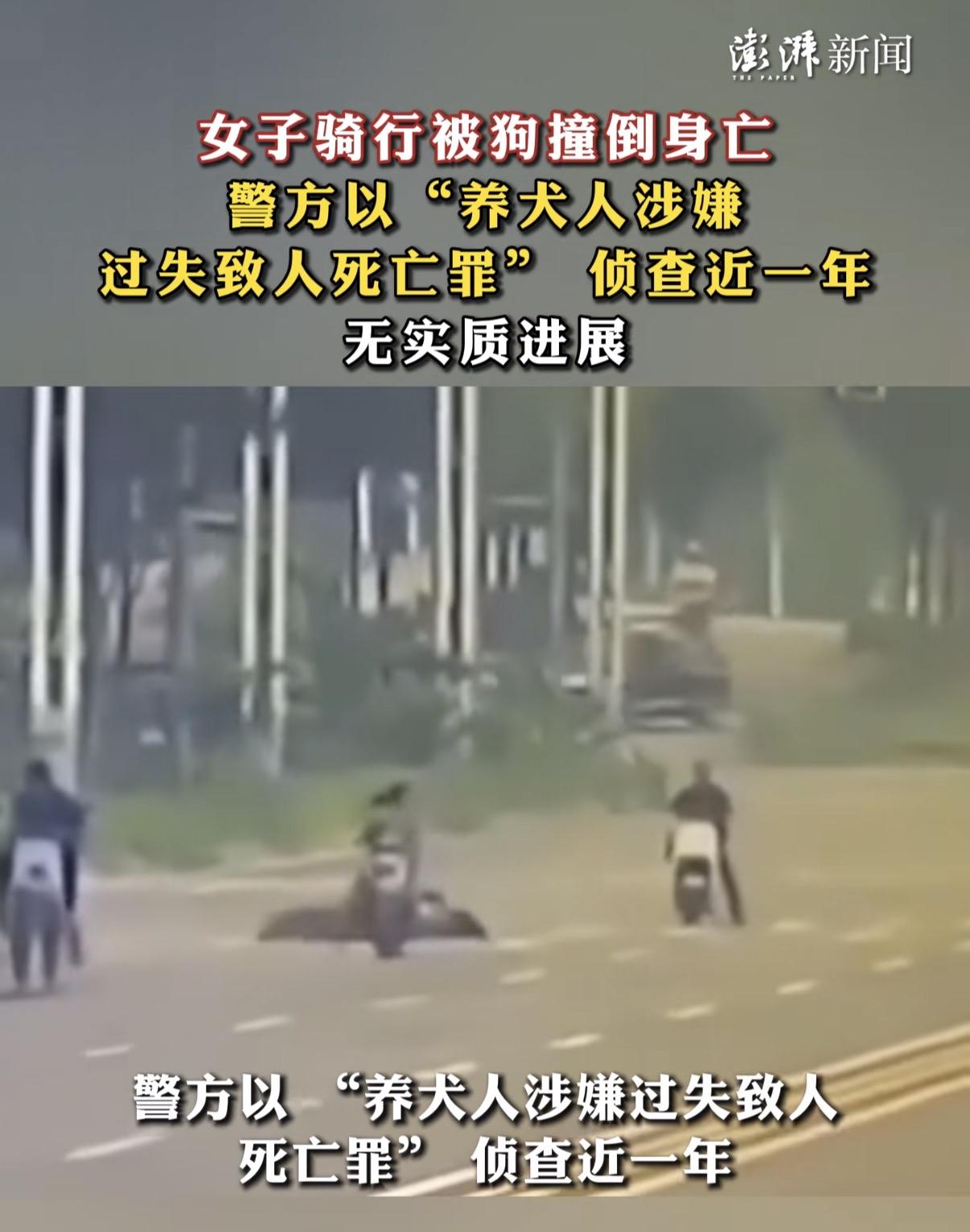 又一例悲剧：女子骑行被狗撞倒身亡！

看到一个令人痛心的新闻，女子在路上骑电瓶车