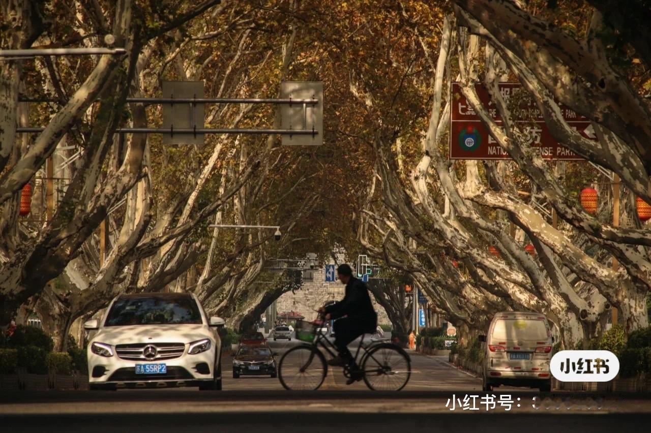 好看风景照分享