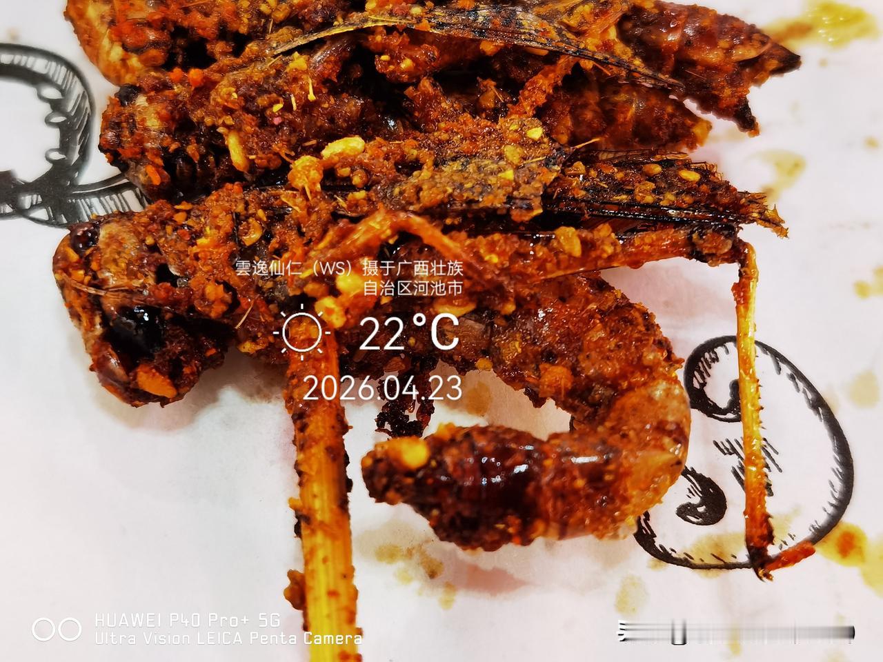 月居生活记录（9581）广西壮族自治区河池市（18）品尝小吃8：烤蚂蚱（3.5元