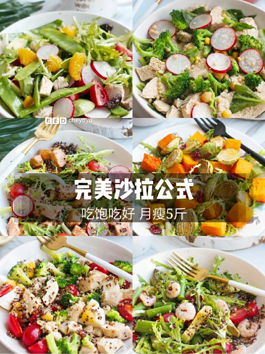 🥗完美沙拉公式！6款越吃越瘦的减肥沙拉