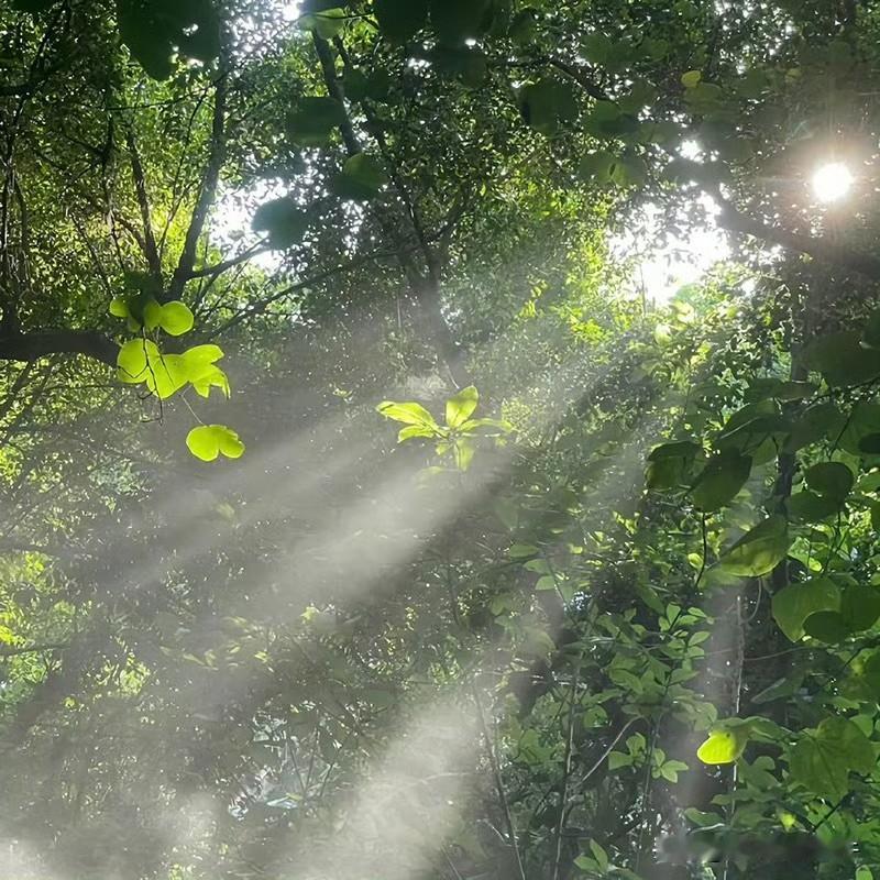 有光照进来的地方，一切安好，愿我身体健康！