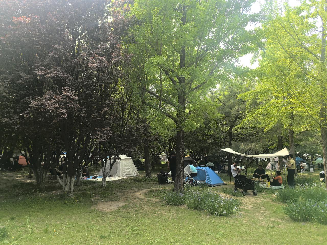 五一假期第2天，有三个万万没想到：

第一，万万没想到五一假期的机票价格迎来了暴