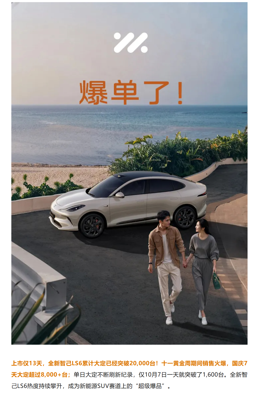 【智己全新LS6上市13天大定破2万】“Model Y杀手们”看起来都挺好的样子