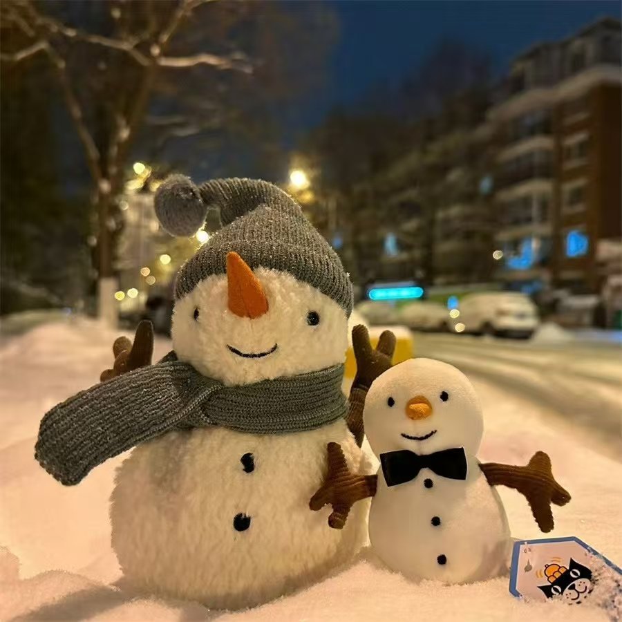 今日大雪，添衣保暖，愿你眼中藏着光芒，立于风雪依然坦荡。 