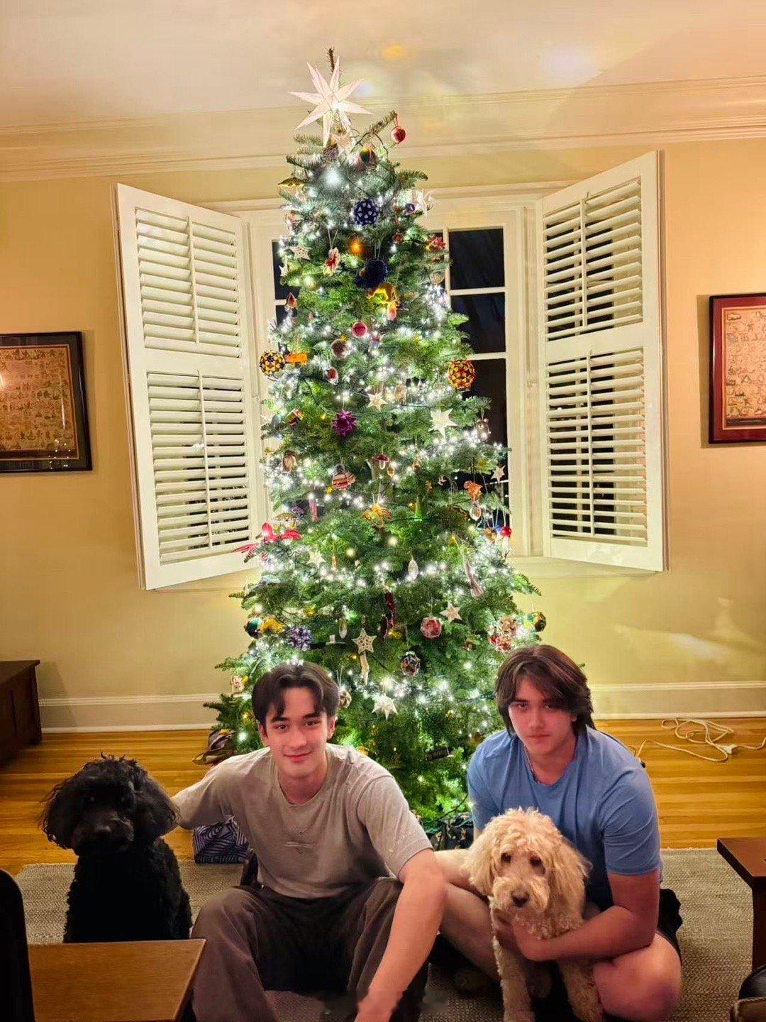 今年圣诞。我们的帅哥小外孙和他们的狗弟弟。 