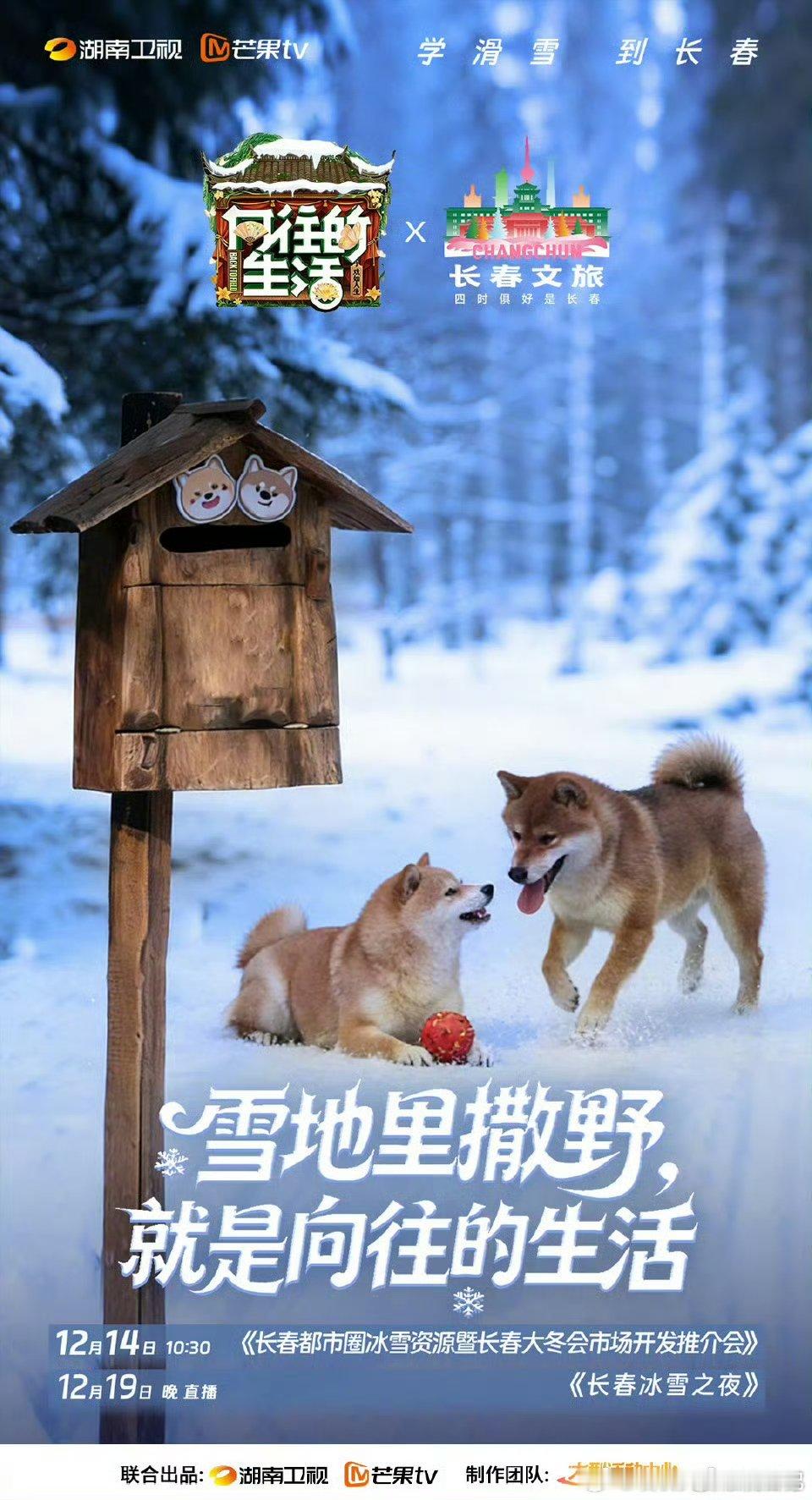 学滑雪到长春 刷到长春的滑雪联动视频，全是我喜欢的综艺嘉宾，瞬间就想去现场打卡 