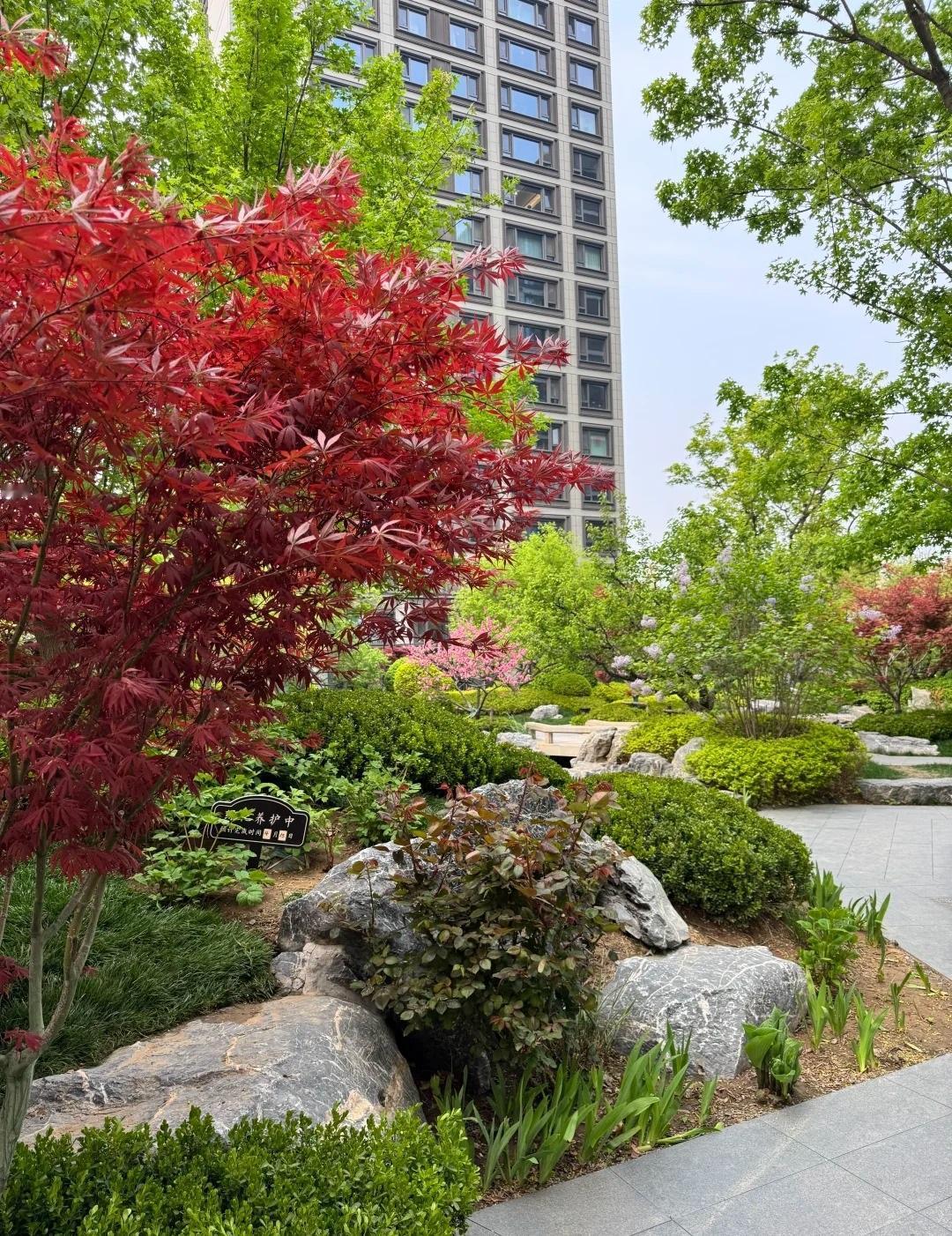 这么美的小区 都是谁在住呀