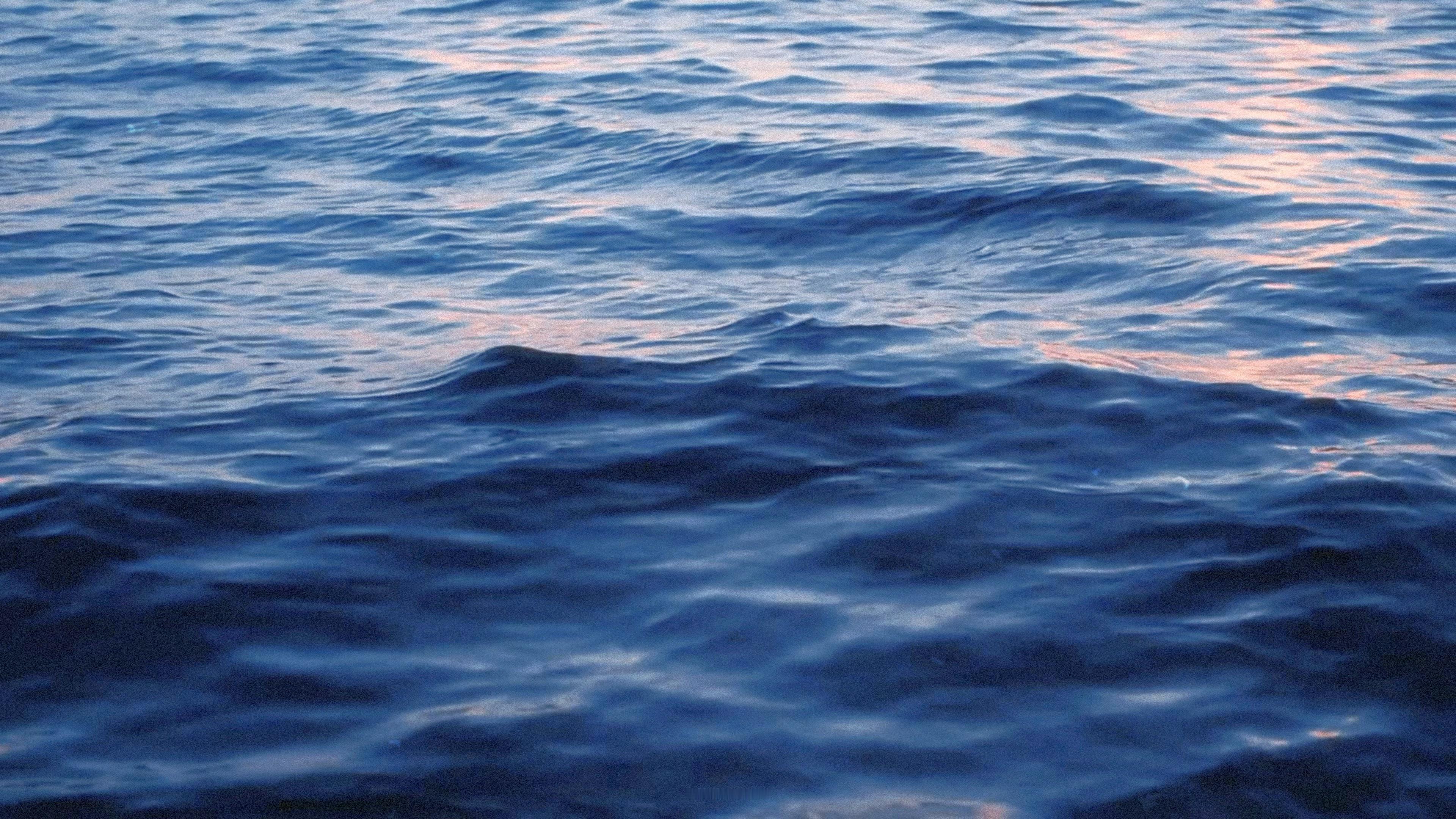 夜色深处…这抹记忆带着香气潜入梦境，治愈内心成毅