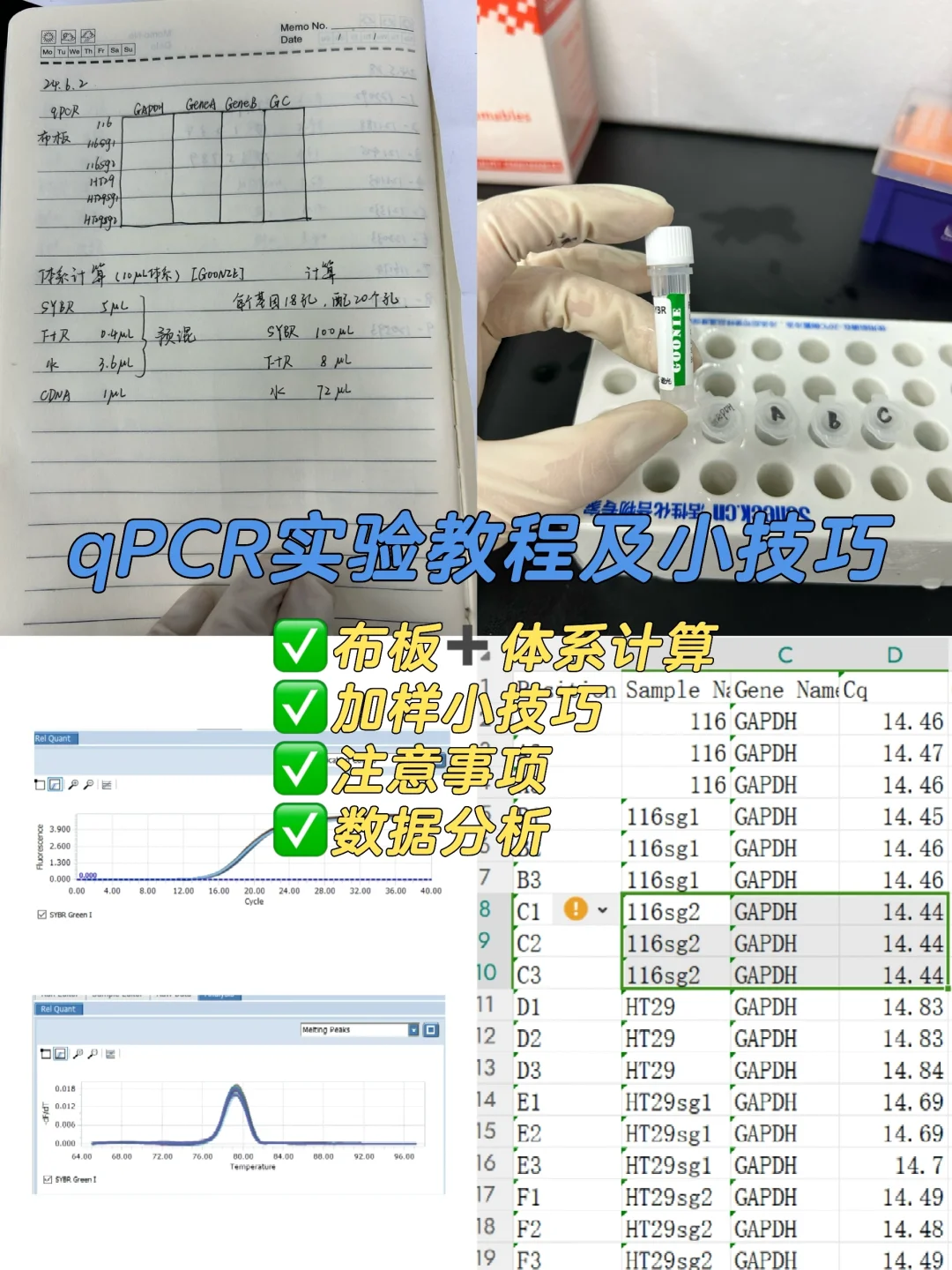 这些qPCR实验小技巧研究生一定要知道❗
