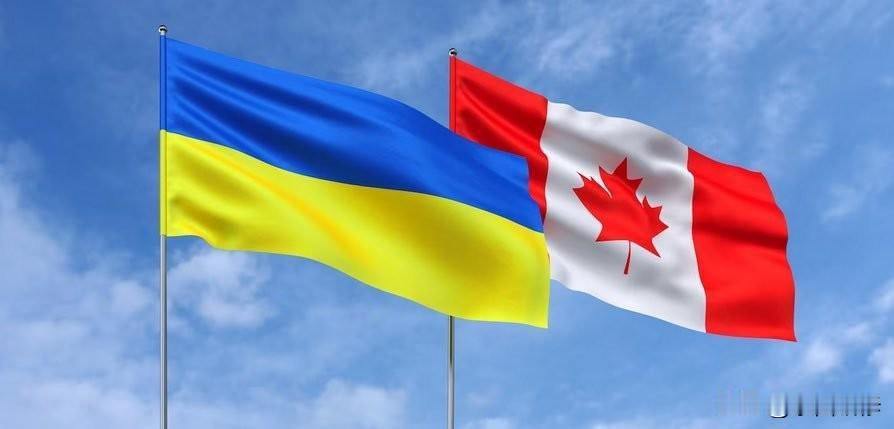 加拿大为乌克兰提供20亿美元军事援助
在俄乌战争四周年之际，加拿大官方宣布： 2