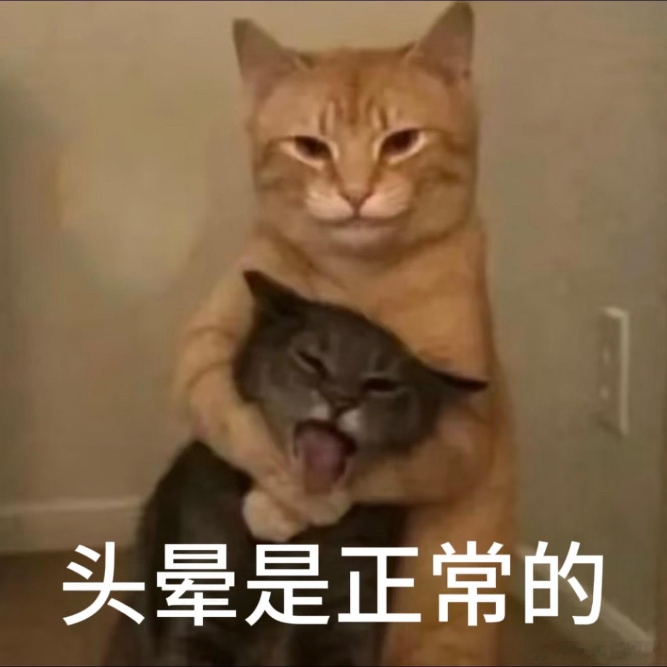 不对劲[捂嘴哭]我越是有事的时候临近紧张的时候，越想和白切黑炒菜。问题是我平时在