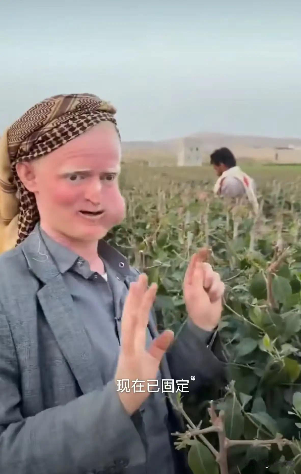 也门穷，
很多人第一反应是战火、封锁、饥荒。
但最扎心的那根刺，长在嘴里。

八
