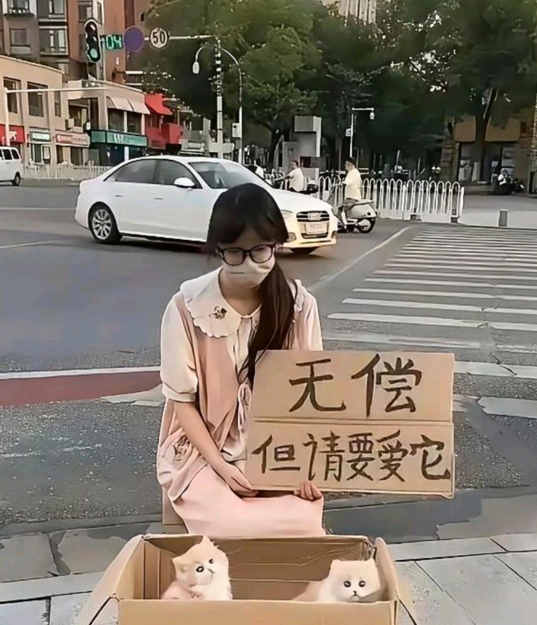街边遇到无偿送猫，这又是什么套路？有知道的吗？