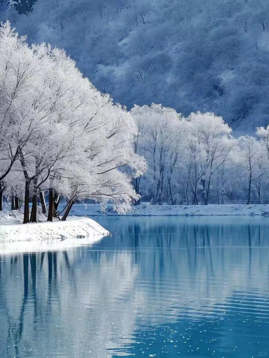 新疆阿勒泰禾木|4k体验极致冬天雪景❄