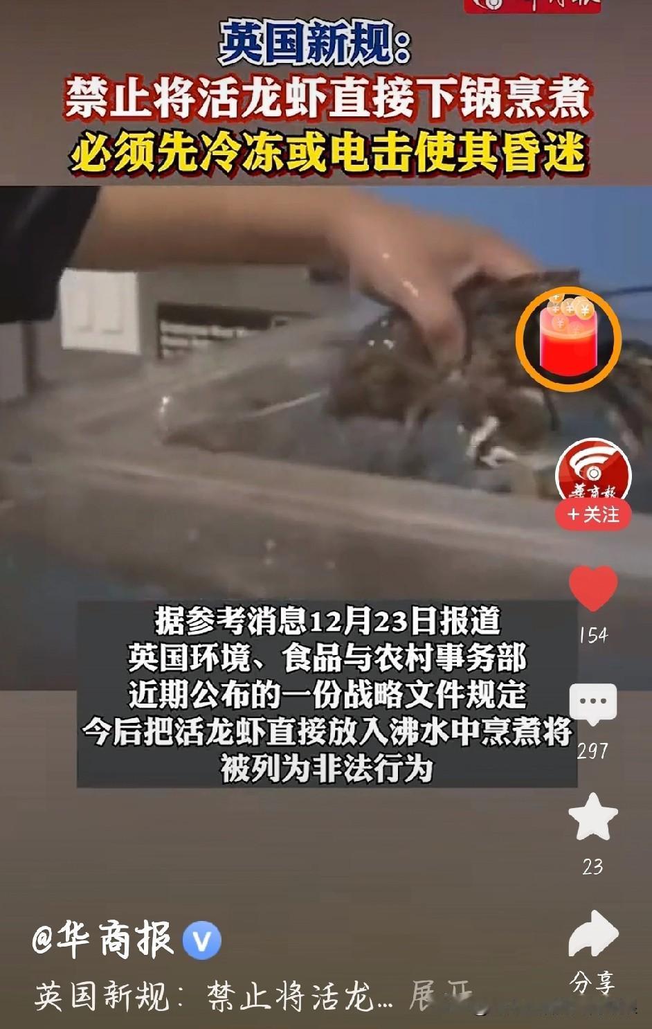 英国出新规：活煮龙虾违法！违者罚款还坐牢？
 
英国这波操作炸锅了！以后在英国，