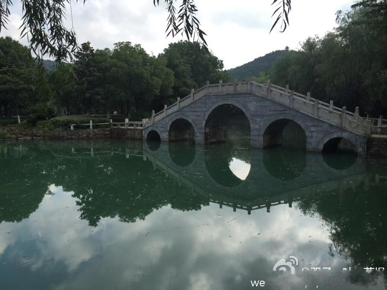 一六年在旺山拍的照片。