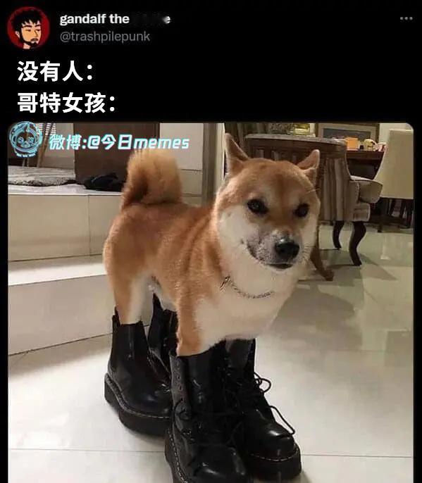 固定搭配（9gag）今日meme 今日memes