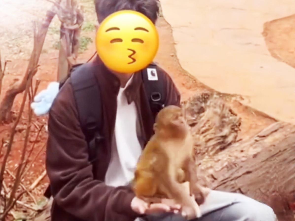 🔥男生偶遇小猴子，意外拍下人生治愈视频！男生偶遇一只软萌小猴子，温柔互动的瞬间