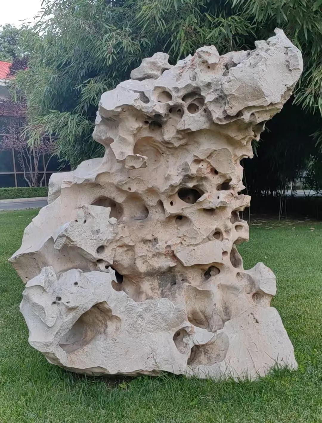 《三地间浪荡的我》
落霞与孤鹜齐飞 ，秋水共长天一色，而68岁的我，时光与乌鸦齐