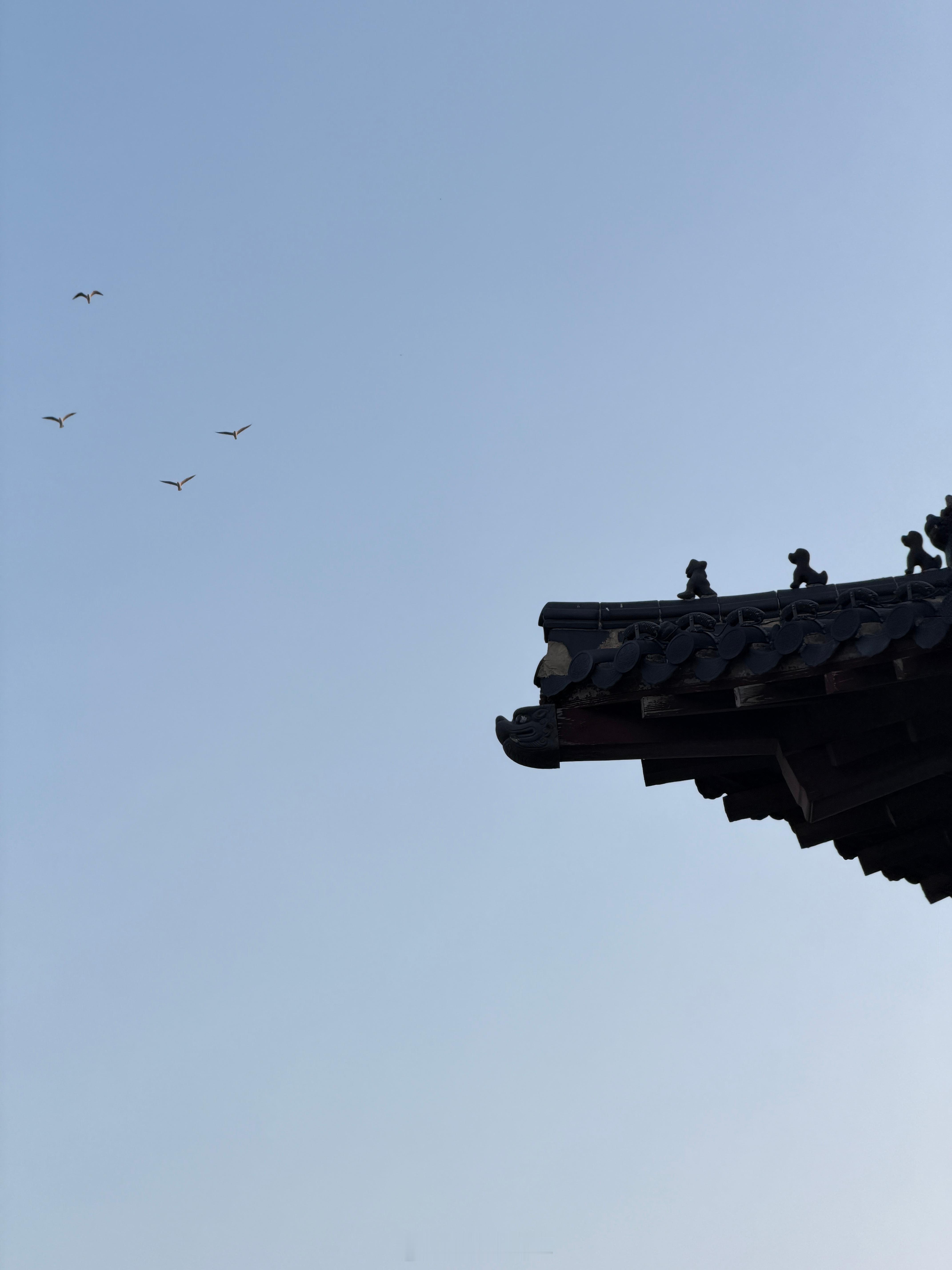 过年在老家的时间感觉是掐着秒过在运河边散步 还有满分落日 好美妙