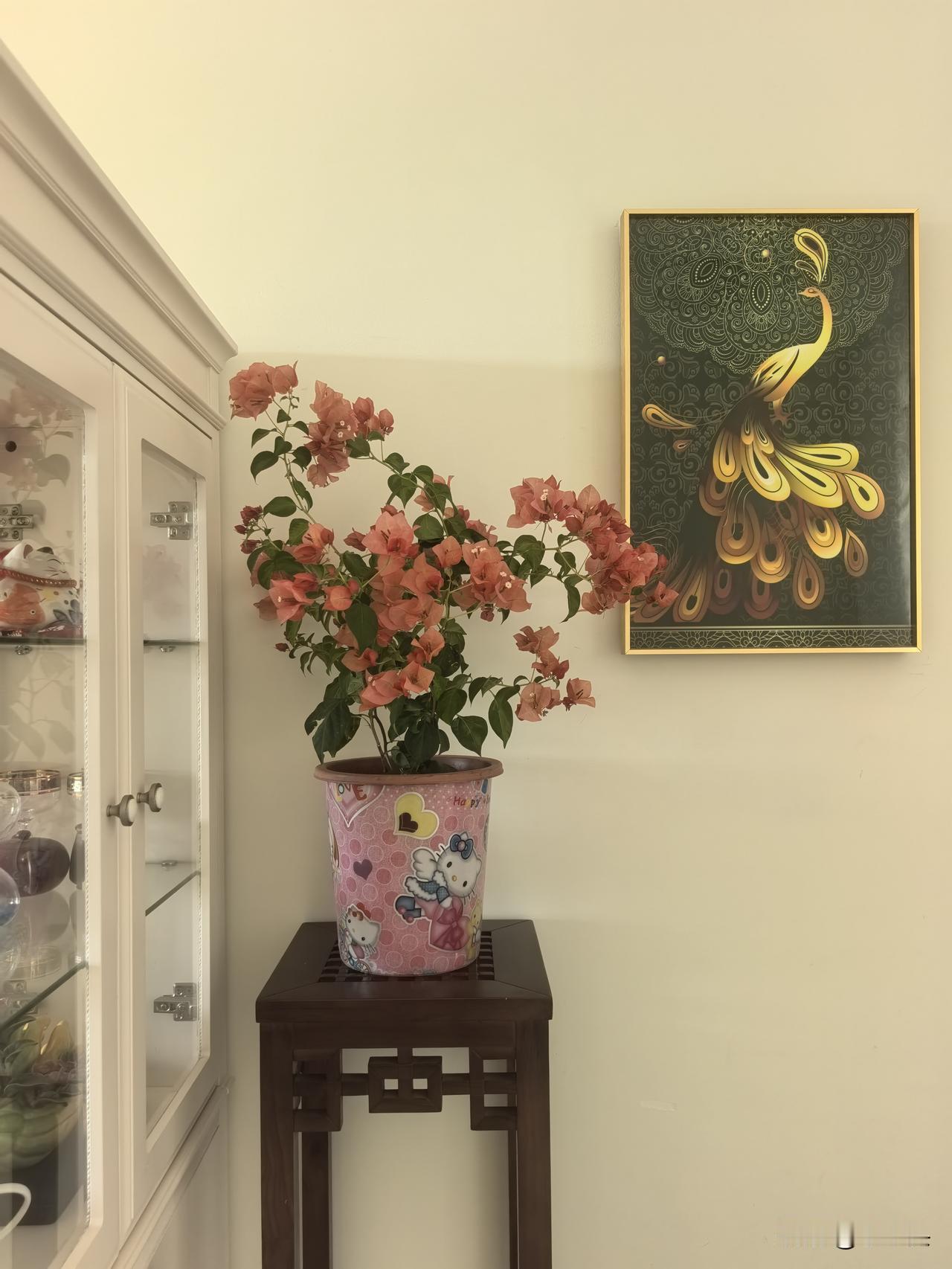 三角梅开花，真的难吗？

我认为品种选对了，它便是来报恩的。我的阳台朝东，每日仅