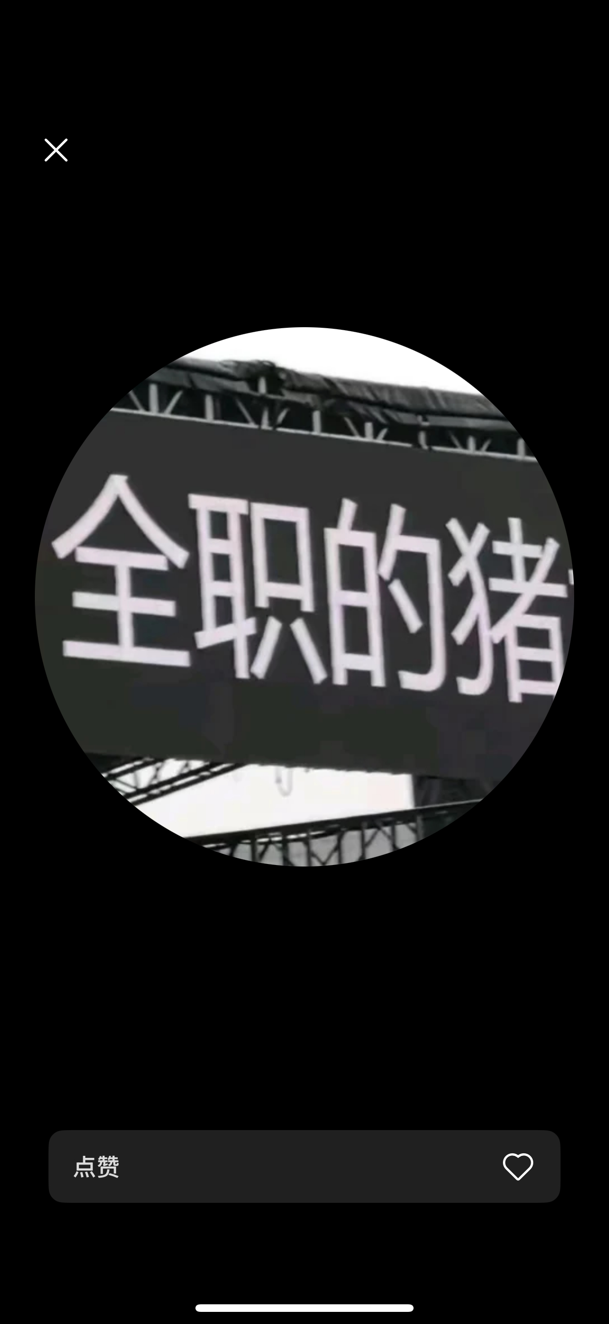 大半夜看到这个头像笑得停不下来 