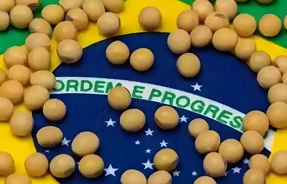 贪心砸了饭碗？巴西硬抬价，中国 130 万吨大豆订单瞬间流向阿根廷！

最近这几