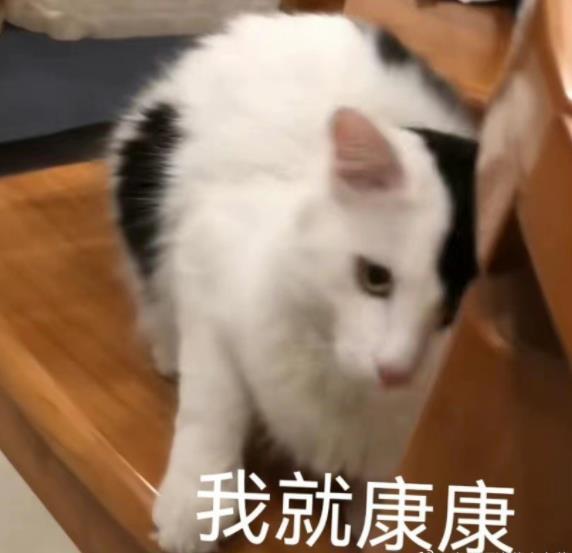 #每日一善#11🈷️9日带v评可直关，当天不吞必hui 掉铁的好友评论下 必回