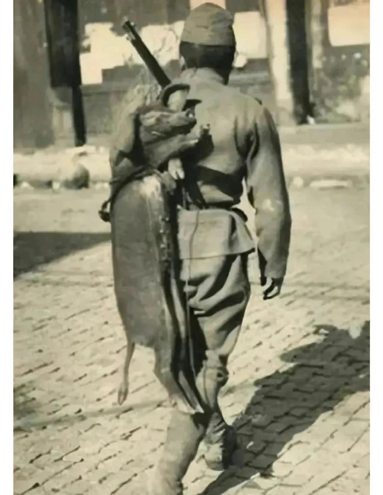 这是1943年，日军侵华期间，一个日本士兵下乡“扫荡”后归来的照片。

这头小黑