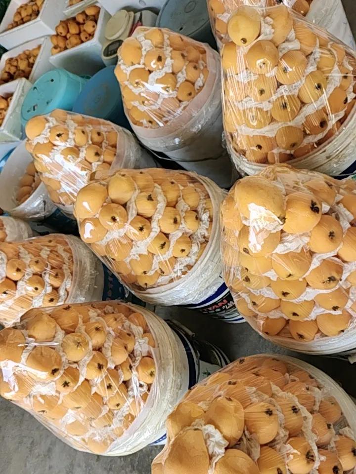 今日A股全天交易结束了
有五大强势方向具备上涨趋势受资金关注：

1. 光伏、储