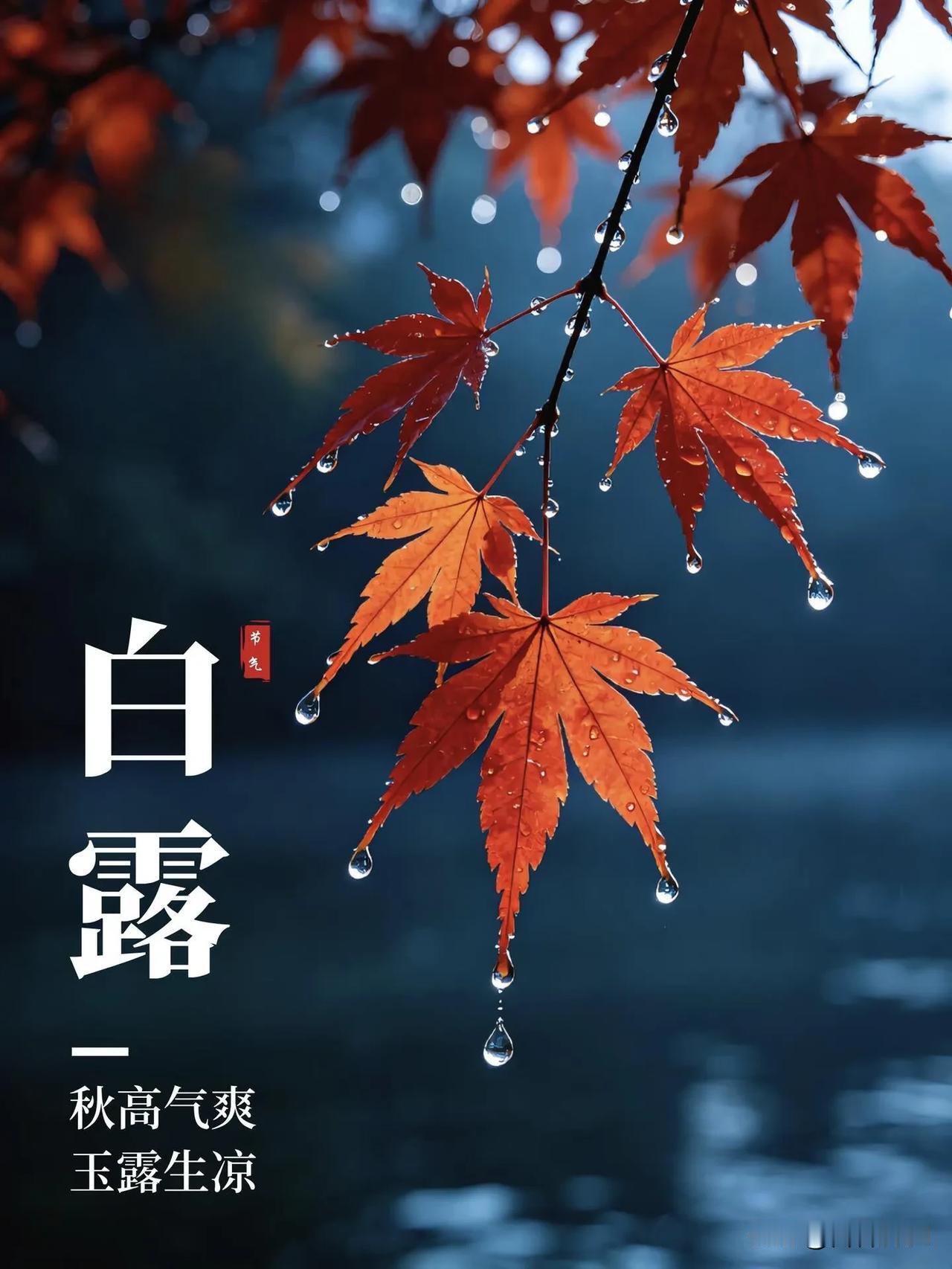新的清晨，放下忧虑与牵绊。常怀一颗平常心，愿家中亲人安稳无恙，日子温暖绵长。