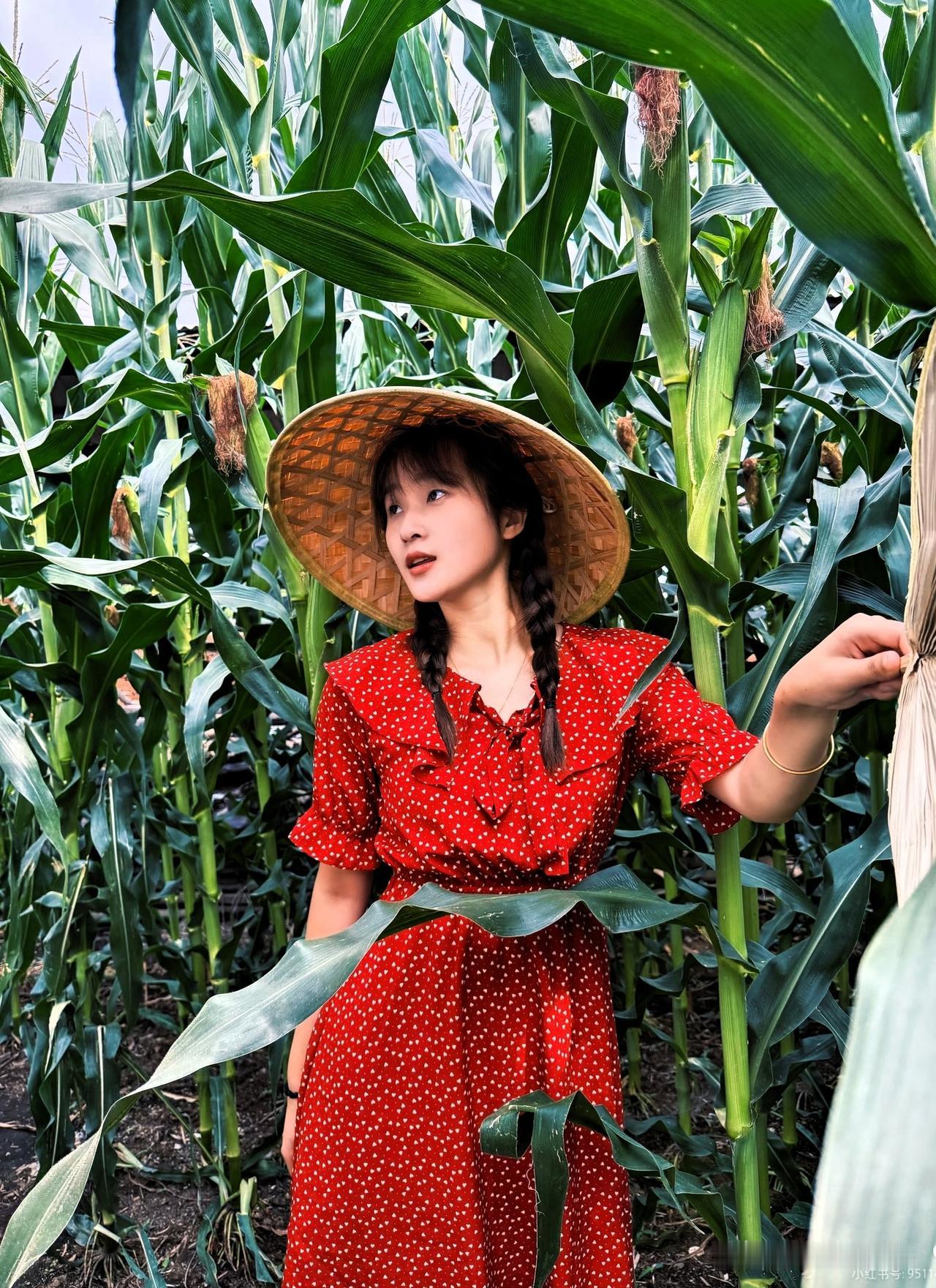 歌依然还是那首歌，

哥却已经不再是当年的哥。

时光匆匆，带走了懵懂，带走了稚