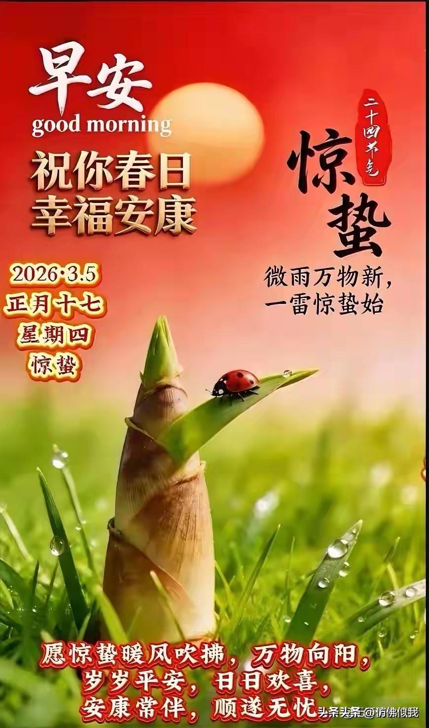 祝大家惊蛰节气平安快乐！万事顺遂！大吉大利！