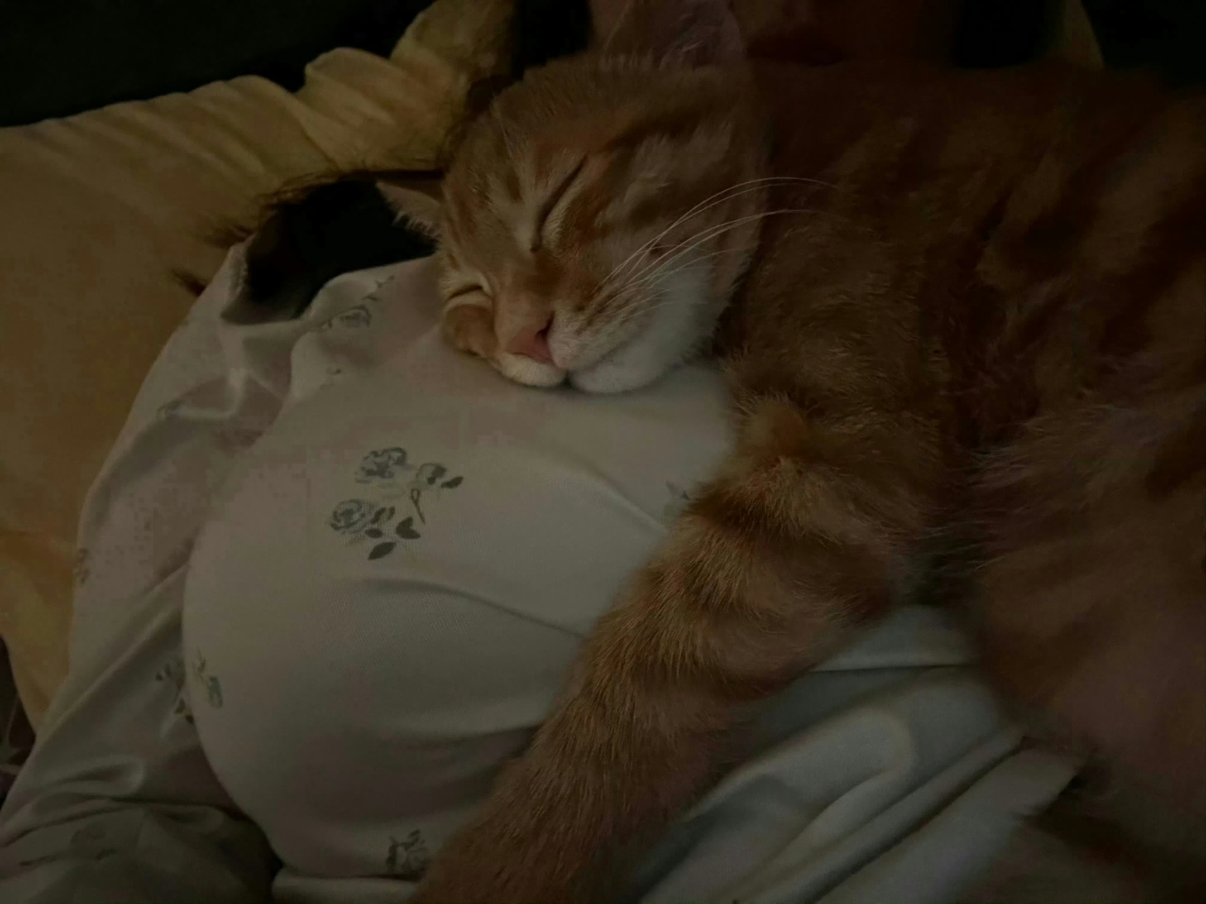 不要叫我姐姐 你知道我最不吃这一套 