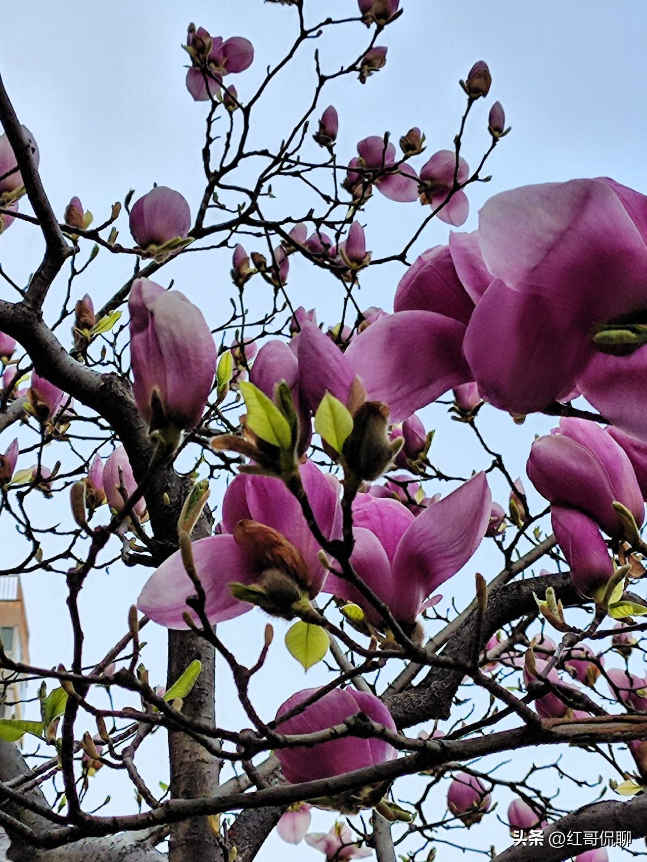 前两天和一个外地朋友吃饭聊天，席间他聊起他爱人可能需要转岗，我说你爱人不是在医院