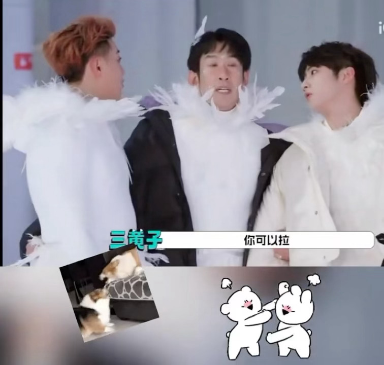 黄子韬刘耀文吵架 黄子韬和刘耀文菜鹅互啄！！！笑不活了这俩活宝！这两人能不能焊死