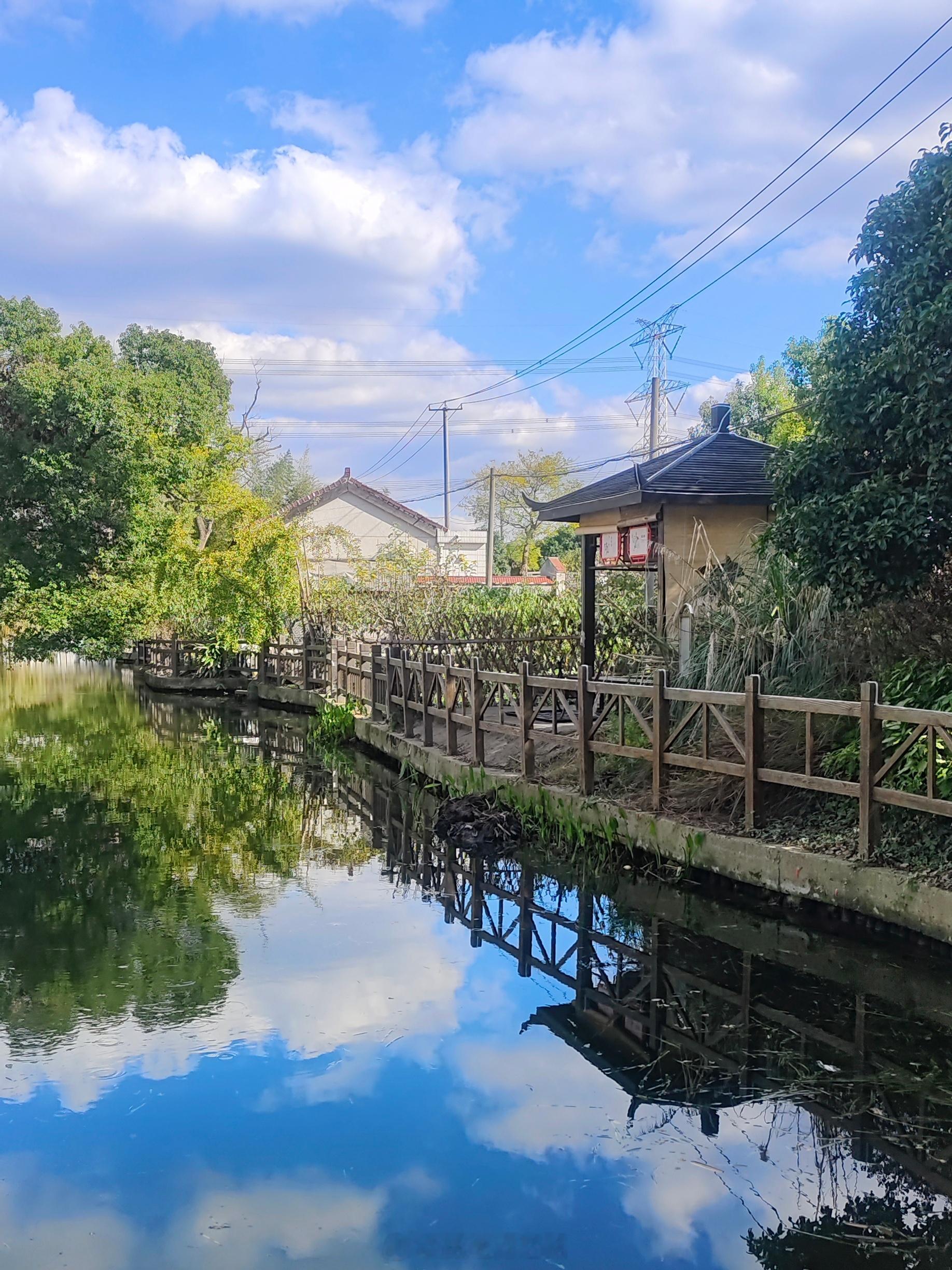 “好雨知时节，当春乃发生。”今日雨水，沪城被早春温柔拥抱。漫步浦东周浦，梅花悄然