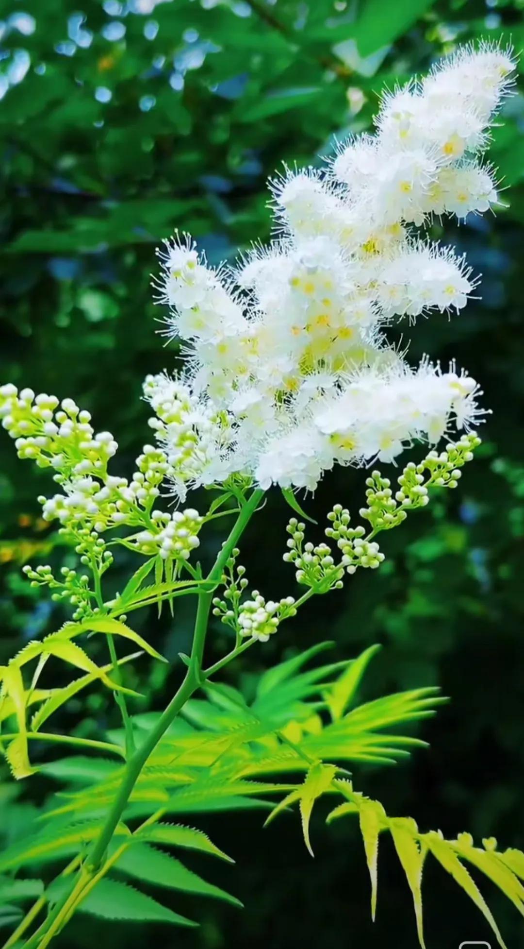 夏日生活打卡季 被突如其来的雷阵雨困在便利店，和陌生阿姨分食了最后一根绿豆冰棒。
