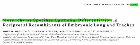 请回答：1998
Dr. John M. Shannon
所属机构： 在发表该研