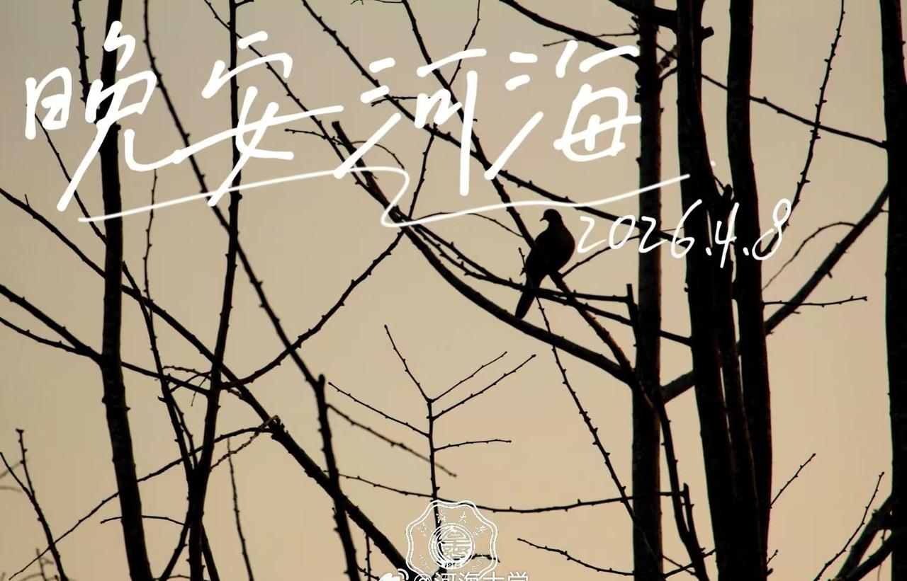 水之子们，晚安！
明日气温14～24℃
（图📸 小海螺记者) ​​​