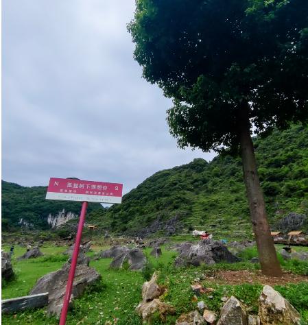 今天咱们聊一所容易被忽略、但性价比真的不错的公办本科——安顺学院。
我知道很多贵