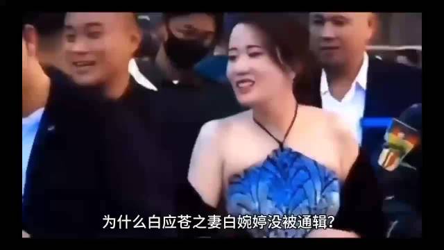 白应苍被执行死刑后，其妻白婉婷去向成谜。这位90后模特原名周寒琼，早年嫁入白家后改名白婉婷。白应苍被