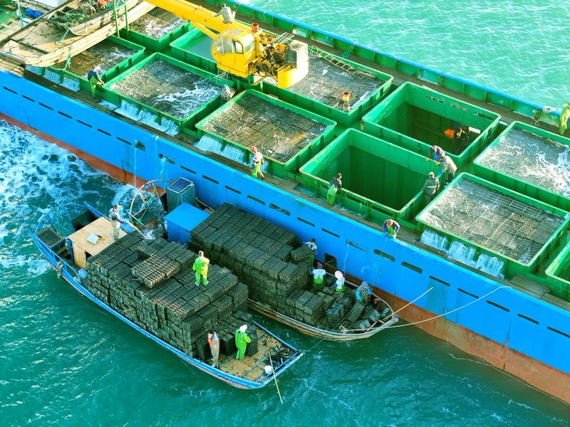 12月3日这天，我国南北温差超60℃，简直太夸张了！海南三沙的永暑站气温高达30