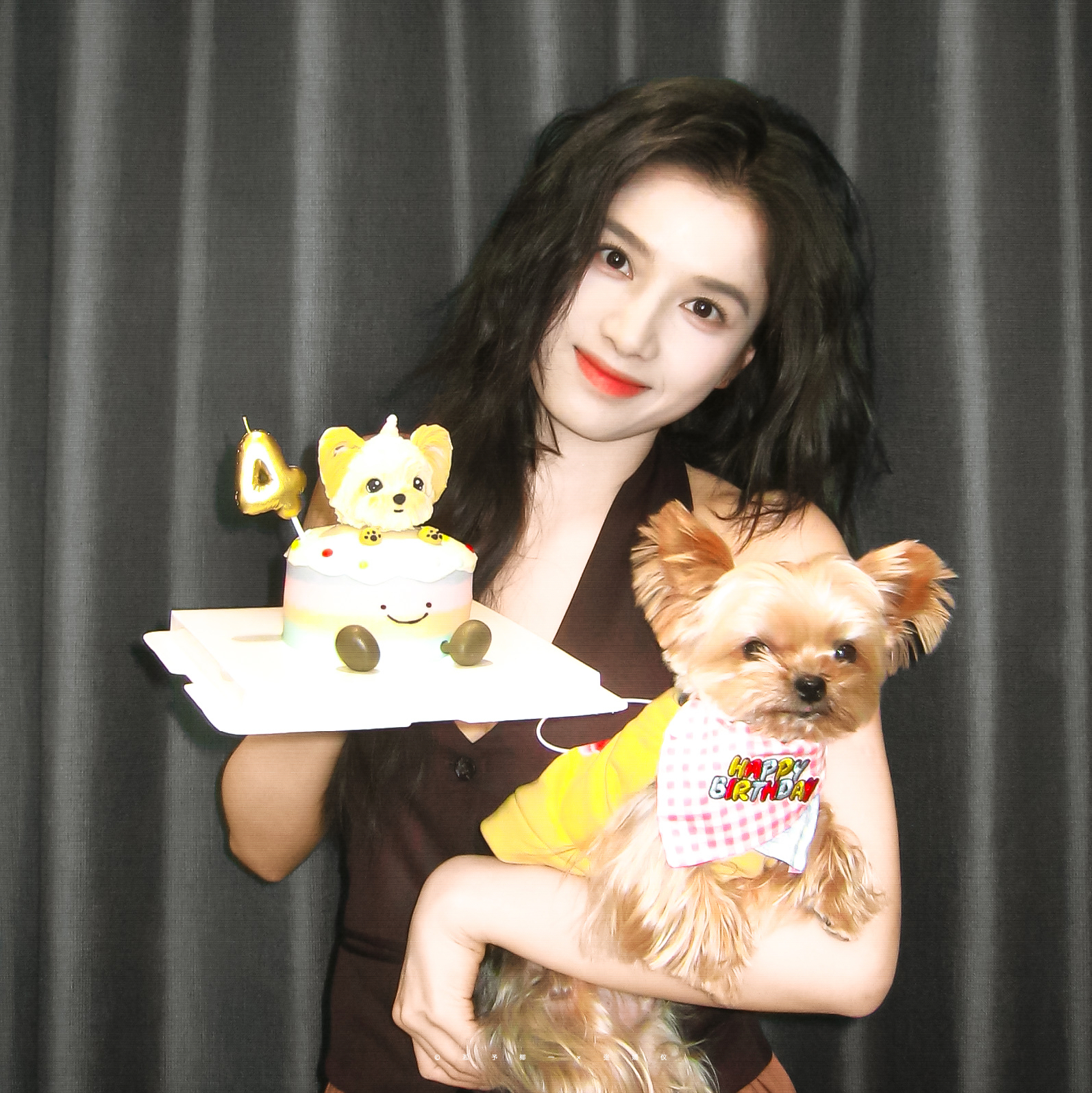 – 张婧仪•困困仔🐕🍰✨🎉 