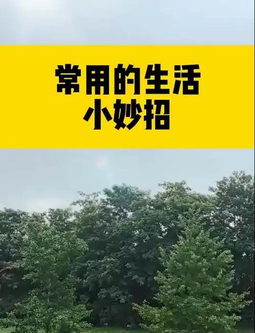 作为一个平时不爱做家务的人，看到这些窍门真的眼前一亮，每一条都很接地气，材料都是