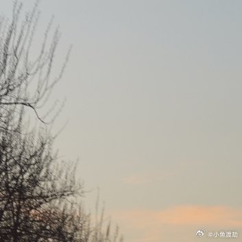 你对所有人笑却把哭留给了枕头白天你回复了九十八条消息，每条都带表情包或者"哈哈哈